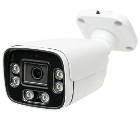 【メーカー在庫限り】塚本無線 WTW-XPR2600GAW 500万画素 XPoE専用IPCシリーズ 屋外仕様 防犯灯カメラ