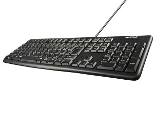 �y���[�J�[�݌Ɍ���z�o�b�t�@���[ BSKBU100BKZ USB�ڑ� �L���X�^���_�[�h�L�[�{�[�h �u���b�N 4950190372332