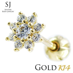 S[h sAX 20G X^[ t[   lW o[x {fBsAX Lb` {[14K 