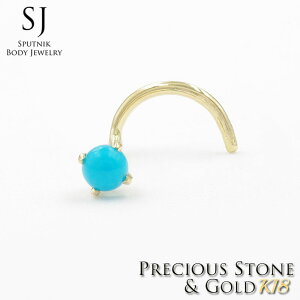 @sAX K18 ^[RCY gR 2.5mm J[u 20G { {fBsAX