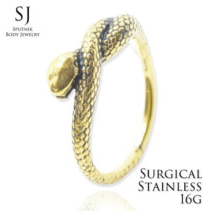 16G NbJ[ wr 8mm 10mm  ւ GOLD tAM[Ή AM[t[ T[WJ XeX 316L sAX t[v Vo[ {fBsAX ^b` t[v O {fB[sAX 