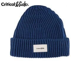 TCSS【ザクリティカルスライドソサイエティ】 INSTITUTE BEANIE VINTAGE BLUE ビーニー ビンテージブルー 18078 [サーフィン メンズ レディース]