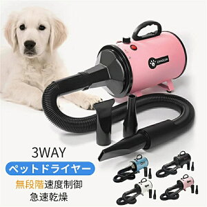 ybghC[  phC[ ybgphC[ u[ iKx @ mYt x\ u[ ጸ ȒPؑ ybgp @ L ybgwA