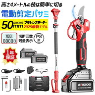 【正規品】高枝切り バサミ 電動 チェーンソー 軽量 伸縮 充電式 剪定ばさみ 柿 剪定鋏 枝きりばさみ 枝…