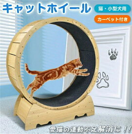 キャットホイール 猫専用ルームランナー 室内運動用 猫 8kgまで トレッドミル キャット ホイール ローラー 自走式 ルームランナー 回し車 観覧車 安全 エクササイズ トレーニング おもちゃ ランニング 小型犬 ペット用品