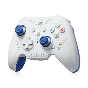 ySSԔMzyKi90ԕۏ؁zBIGBIG WON Rainbow 2 SECX SwitchRg[[ANintendo Switch/PC Windows/Android/iOSp Bluetooth PCQ[Rg[[A6WC/z[ʃgK[/U