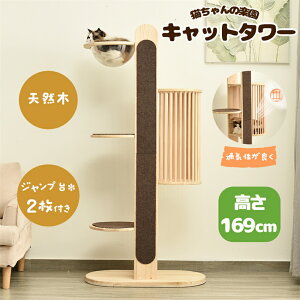 ySSԌP10{zy2-4cƓzLbg^[ u^ ؐ FDt 169cm L^[ lR^[ B ܂Ƃ lR ^[   ^[ VR  