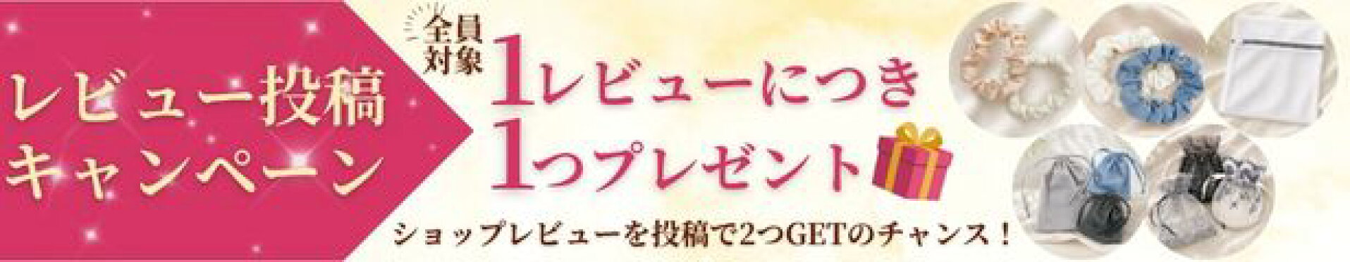 レビュー投稿