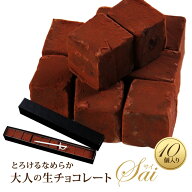 生チョコレート 10粒入 誕生日 母の日 ギフト チョコ チョコレート おしゃれ 高級感 ご褒美 プチギフト …