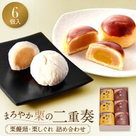 栗饅頭 栗しぐれ 詰め合わせ 6個入 和菓子 敬老の日 スイーツ ギフト お菓子 プレゼント 誕生日 退職 挨…