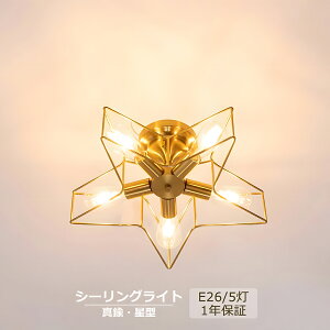 シーリングライト おしゃれ 調光調色 LED 北欧 スマホ リモコン タイマー 子供部屋 6畳 8畳 10畳 明るい 照明器具 シーリングランプ リビング 照明 シンプル 天然木 カラフル インテリア 天井照