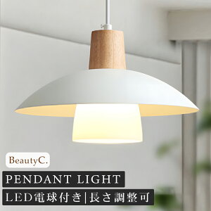 ペンダントライト おしゃれ ガラス 1灯 吊下げ灯 照明 北欧 LED電球対応 ガラス造形 キッチン 照明器具 トイレ 階段 引掛けシーリング ダクトレール モダン かわいい ナチュラル リビング ダ