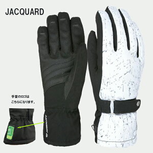 y2_200~OFF12320`1211܂ŁzXm[O[u@O[u@fB[X LEVEL x 5w@p@XL[@Xm{[@EB^[ @y3366WGz