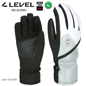 スノーグローブ グローブ  LEVEL  レベル  スキー スノボー ウィンター Tessa 【3368WG】