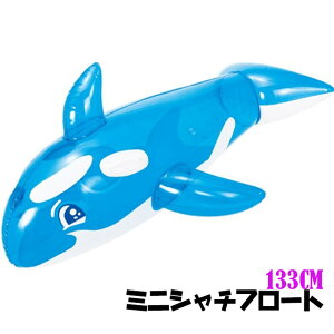 y250~OFFwI9/3 20:00-9/11 1:59z~jV`t[g@133cm  r[` C v[
