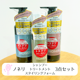 NONERI ノネリストレートシャンプー ストレートトリートメントストレートスタイリングフォーム 3点セット ニジリズミック リードヘルスケア トステア アミノエチルチオコハク酸ジアンモニウム ストン髪 スタイリング剤 ストレートメモライズ 寝ぐせ ヘアケア 宅配便
