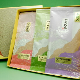 【2026年 新茶】静岡天竜茶 手摘み最高級やぶ北茶・やぶ北茶・高級煎茶 100g×3 人気3種のギフトセット 【静岡茶天竜産 送料無料 浅蒸し煎茶 緑茶 】【お誕生日 お祝い お礼 母の日 父の日 お歳暮 お年賀 寒中見舞い】