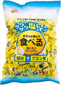 【徳用】 700g 食べる 塩 レモン キャンディ 松屋製菓 夏 汗 塩分 クエン酸 サクッ サクサク 簡単 手軽 補給