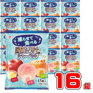 G[X 点ĐHׂ V[xbg 15 × 16 Zbg Y ʏ` 100% ACX ACXLfB[ [[ X XC[c fU[g   Mtg  蕨 v[g q 