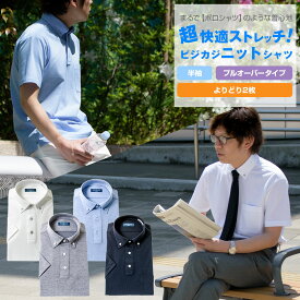 プルオーバー ビズポロ よりどり2枚 | 【 選べる2枚 1枚あたり2,970円 】 超快適ストレッチ吸水速乾 半袖 ニットシャツ ノーアイロン ノンアイロン ワイシャツ 送料無料 【review】 BuCaKn 2505ft 2506CL 20par 2507ft