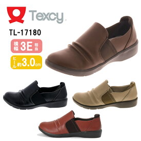 【送料無料・送料込（一部地域を除く）】Texcy テクシー　TL 17180 婦人靴 レディース スリッポン 痛くない 歩きやすい デイリー カジュアル 3.0cm 3E