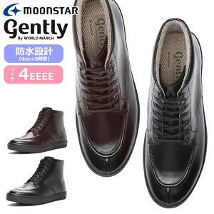 MoonStar [X^[ WFg[ gently GE110VG GE 110VG amC Y 4E h  JWA  F Lg^ u[c ̓ hV̓  {v L [XAbv