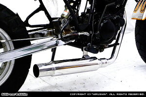 WirusWin TW200ETW225p OhV[v }t[ /ECYEB