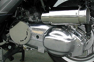 WirusWin }WFXeB250 (4HC)p TCT[^ GAN[i[Kit oY[J[^Cv /ECYEB