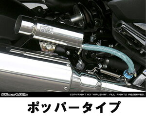 WirusWin }WFXeB250(4D9)p u[U[Lb`^N |bp[^Cv /ECYEB