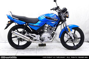 WirusWin YBR125p _Ci~bN}t[ /ECYEB