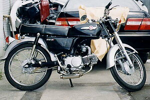 WirusWin CD90�E�x�����[90 ���b�h�_�E�� �V���[�g �}�t���[ /�E�C���Y�E�B��
