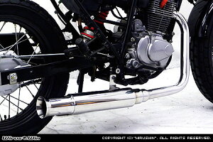 WirusWin FTR(MC34) I[vGh }t[ /ECYEB