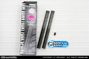 WirusWin tFCYp [_E tg tH[N XvO /ECYEB