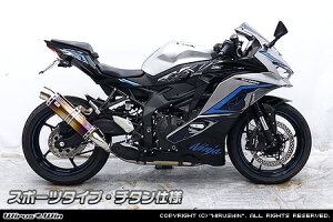 WirusWin ZX-25Ry8BK-ZX250HzZX-4REZX-4RRy8BL-ZX400Pz XbvI}t[ X|[c^Cv `^dl / ECYEB jW