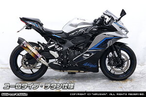 WirusWin ZX-25Ry8BK-ZX250HzZX-4REZX-4RRy8BL-ZX400Pz XbvI}t[ [^Cv `^dl / ECYEB jW