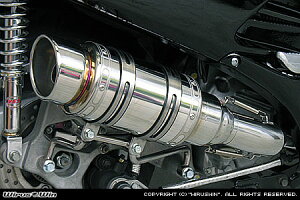 WirusWin tHc@iMF06j Ag~bNV[g }t[ /ECYEB