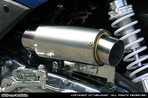 WirusWin VOiXX 1^ (SE12Ji5TYjESE12Ji5UAj) TCT[^ GAN[i[Kit X|[c^Cv/ECYEB