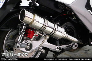 WirusWin BW'S R125 C}t[ |bp[^Cv /ECYEB