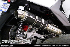 WirusWin BW'S R125 v~A}t[ ubNJ[{dl/ECYEB