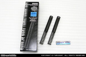 WirusWin BWfS125EBW'S125X[_E tgtH[N XvO/ECYEB