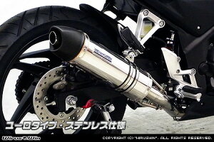 WirusWin CB250F 14`f _Ci~bN }t[ [^Cv XeXdl/ECYEB