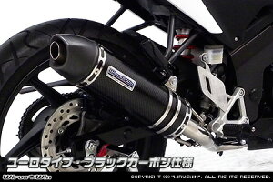 WirusWin CBR125R(EBJ-JC50) _Ci~bN}t[ [^CvytGL][Xgz /ECYEB