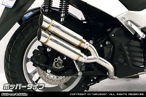 WirusWin NMAX125i2BJ-SED6Jj Ag~bNcC }t[ |bp[^Cv /ECYEB