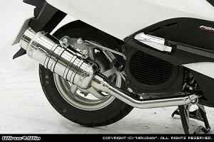 WirusWin [h110 C}t[ oY[J^Cv/ECYEB