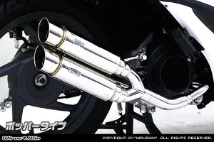 WirusWin fBI110(JF31) Ag~bNcC}t[ |bp[^Cv/Dio ECYEB