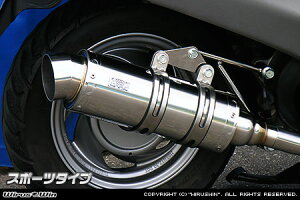 WirusWin XyCV[100 C}t[ X|[c^Cv/ECYEB