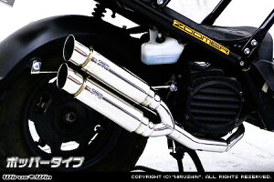 WirusWin Y[}[ Ag~bNcC}t[ |bp[^Cv/ECYEB Zoomer