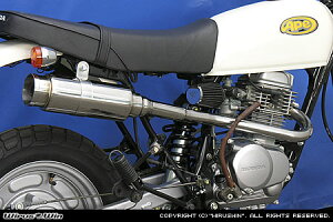 WirusWin GCv100 C}t[ oY[J^Cv/ECYEB