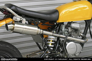 WirusWin GCv50 C}t[ X|[c^Cv/ECYEB