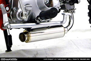 WirusWin �����L�[(PGM-FI�d�l) ���b�h�_�E���V���[�g �}�t���[/�E�C���Y�E�B��